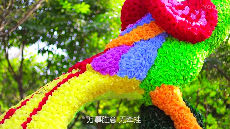 素龙妹子版(迎春花)