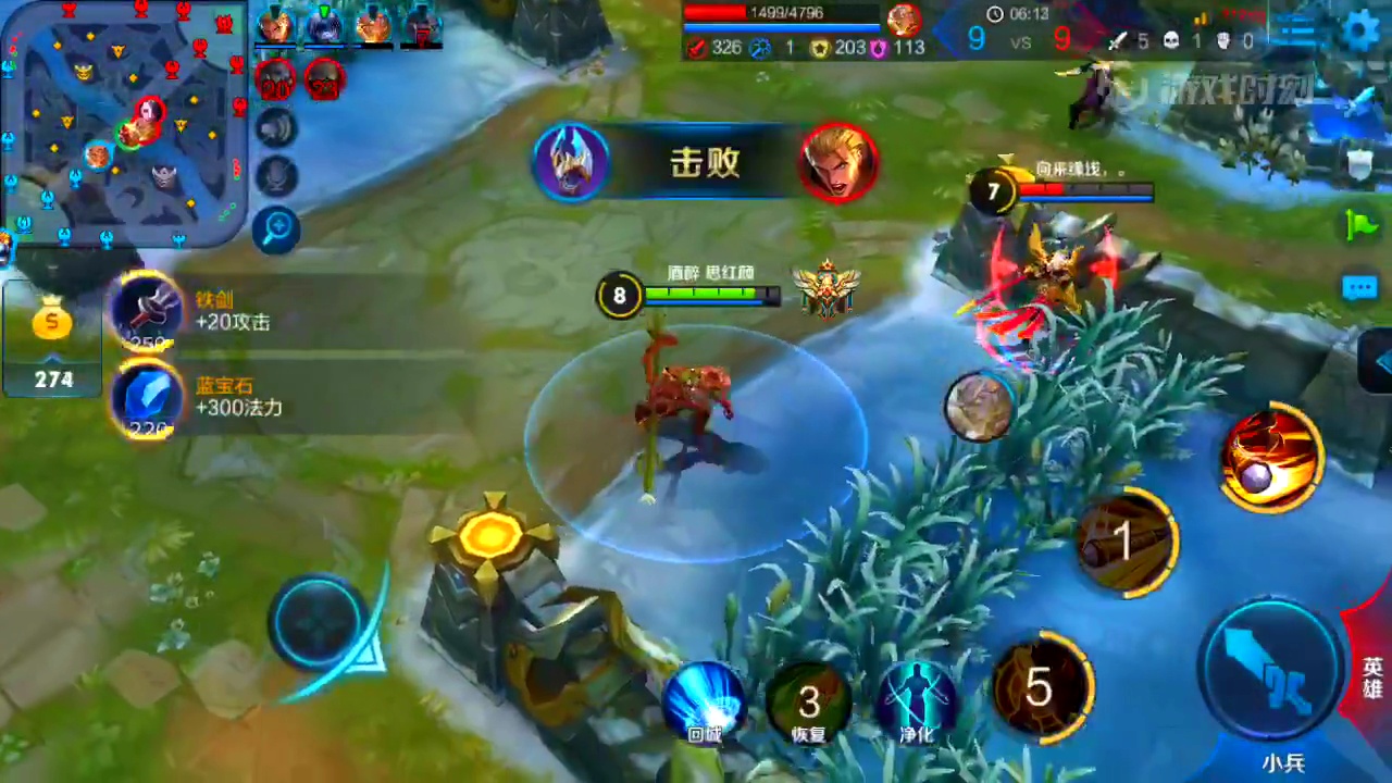 王者荣耀辅助网名_王者荣耀辅助挂_王者荣耀全图视野辅助